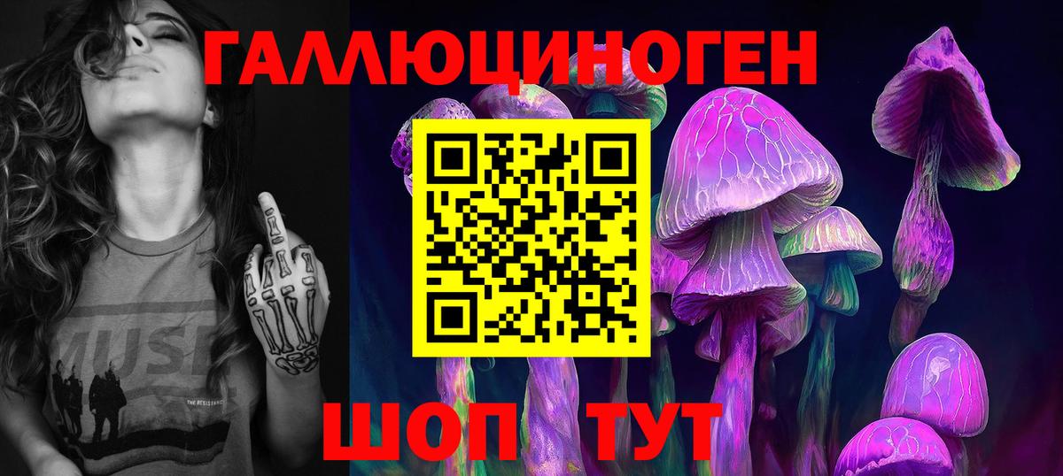 Галлюциногенные грибы Magic Shrooms Киселёвск