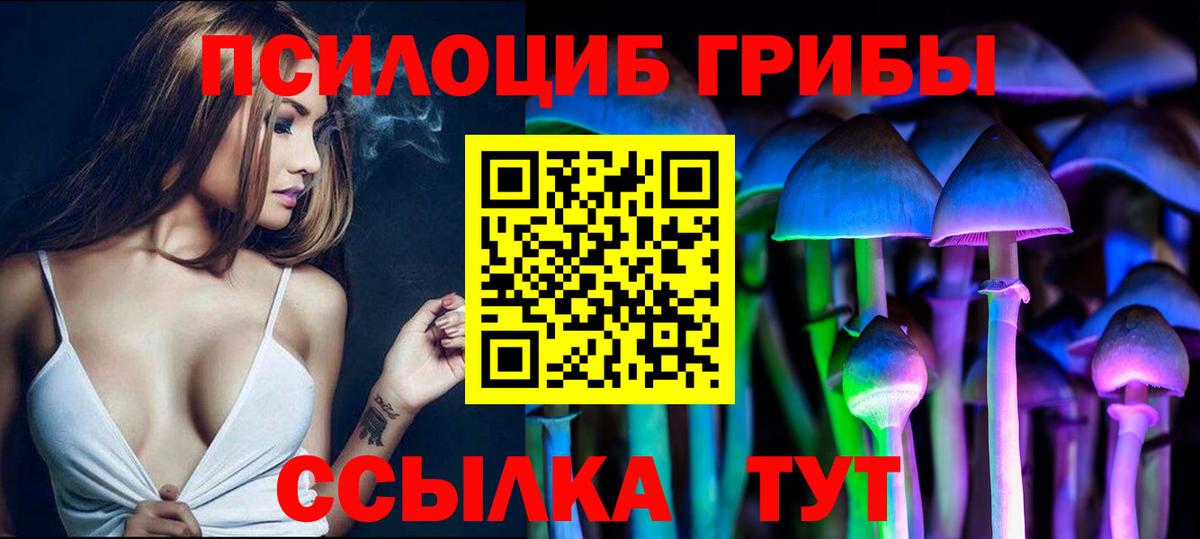 Псилоцибиновые грибы Psilocybine cubensis  Вход с VPN  Киселёвск  Галлюциногенные грибы мухоморы 